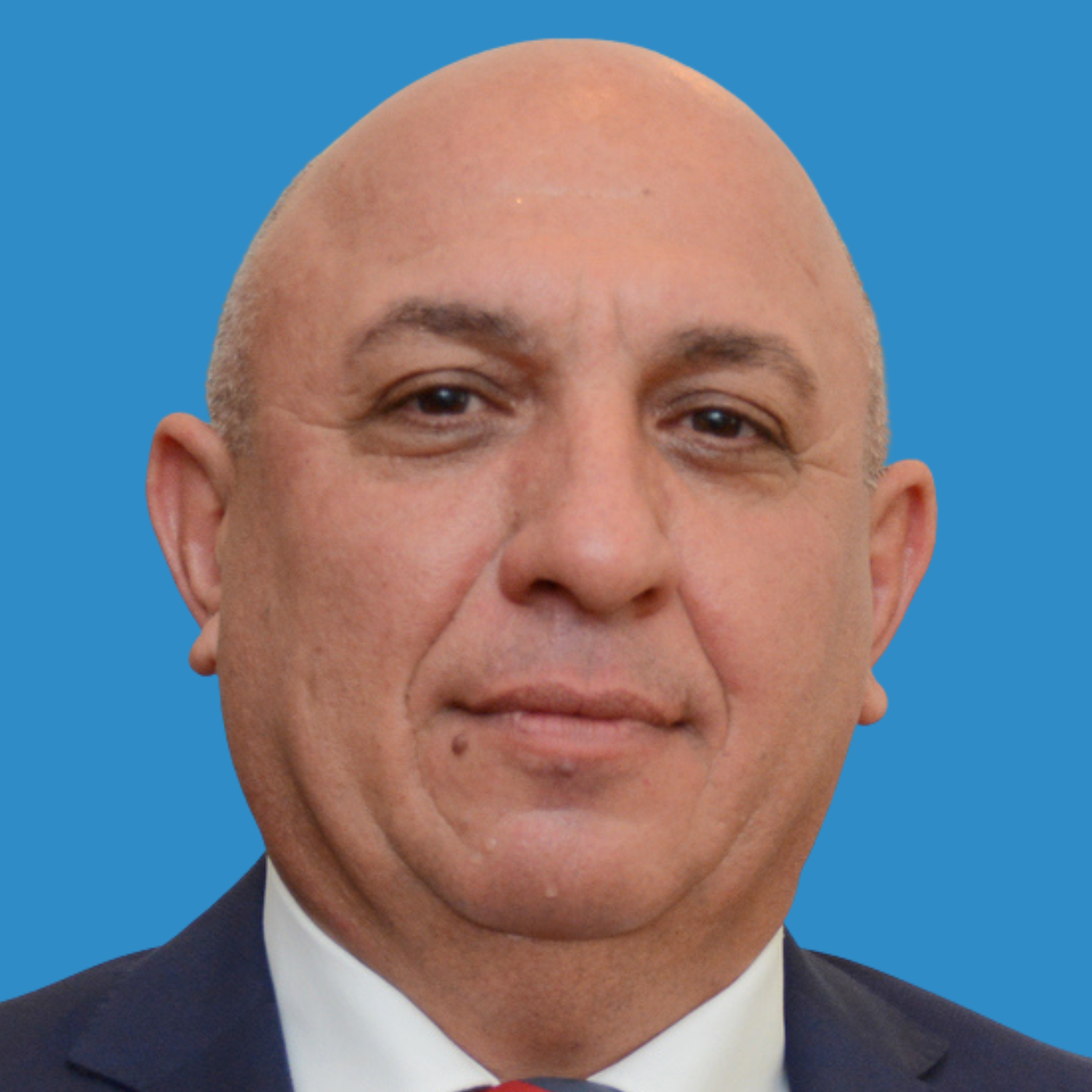 Professor Elnur Sadiqov